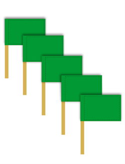 Набор игровых флажков зелёный 5 штук - фото 4764
